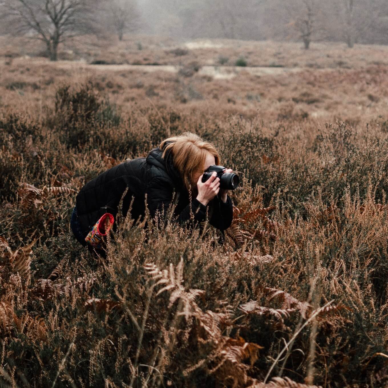 Hunde Blog