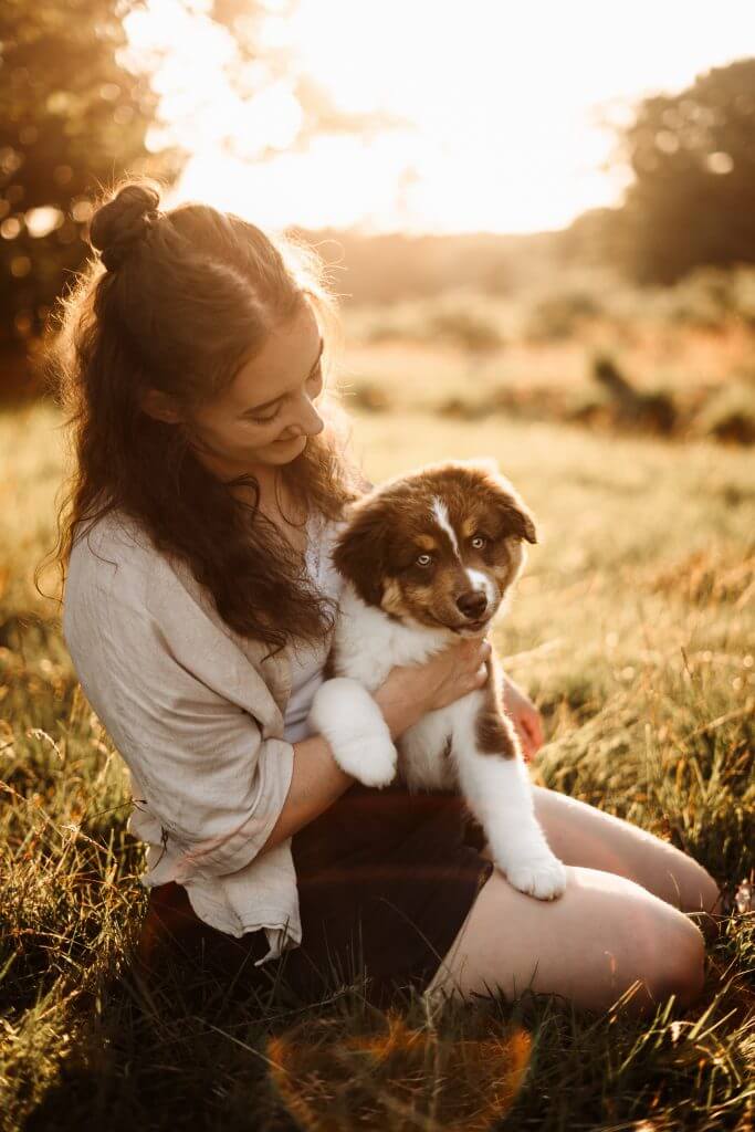 Hundefotoshooting