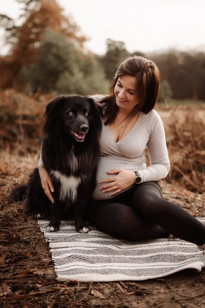 Babybauch-Shooting mit Hund