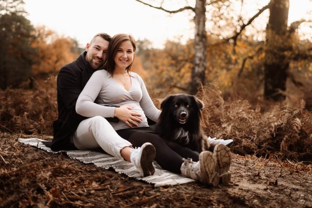 Babybauch-Shooting mit Hund