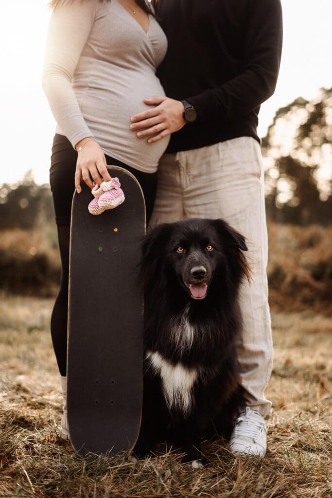 Babybauch-Shooting mit Hund