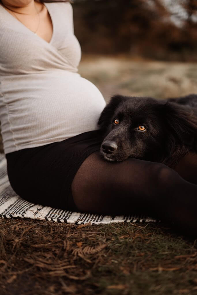 Familienfotos mit Hund