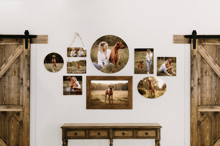 Hundefotoshooting Köln