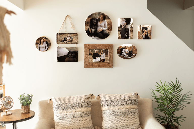 Hundefotoshooting Köln