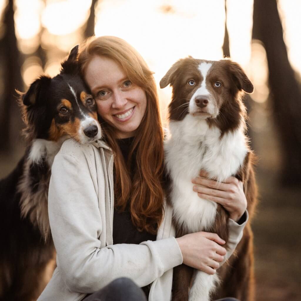 Hundefotograf Köln