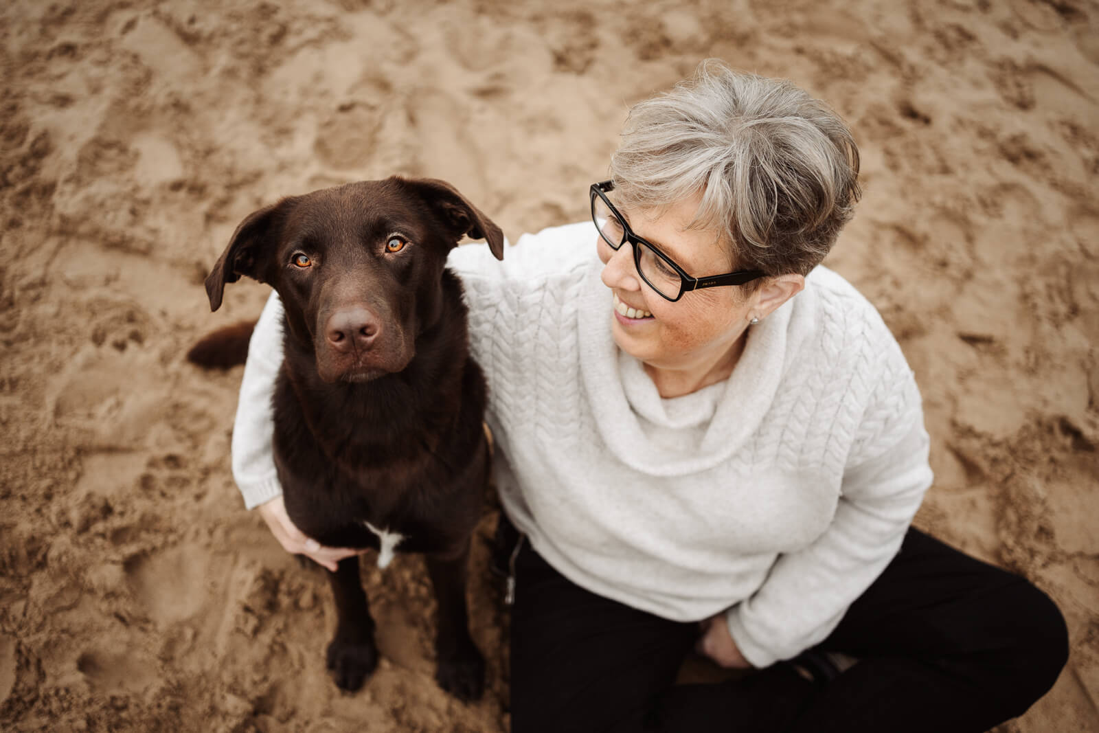 Hunde Videografie