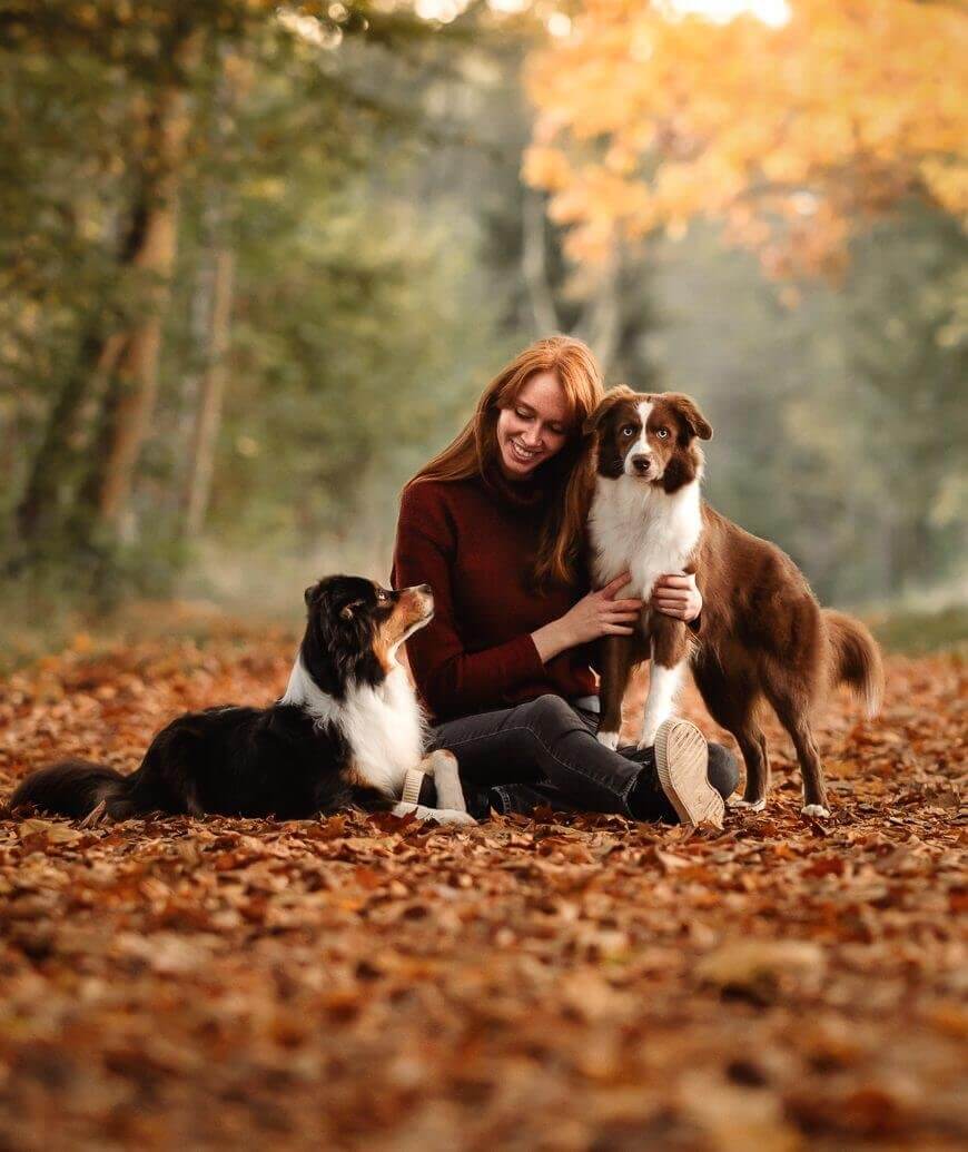 Hundefotoshooting Gutschein