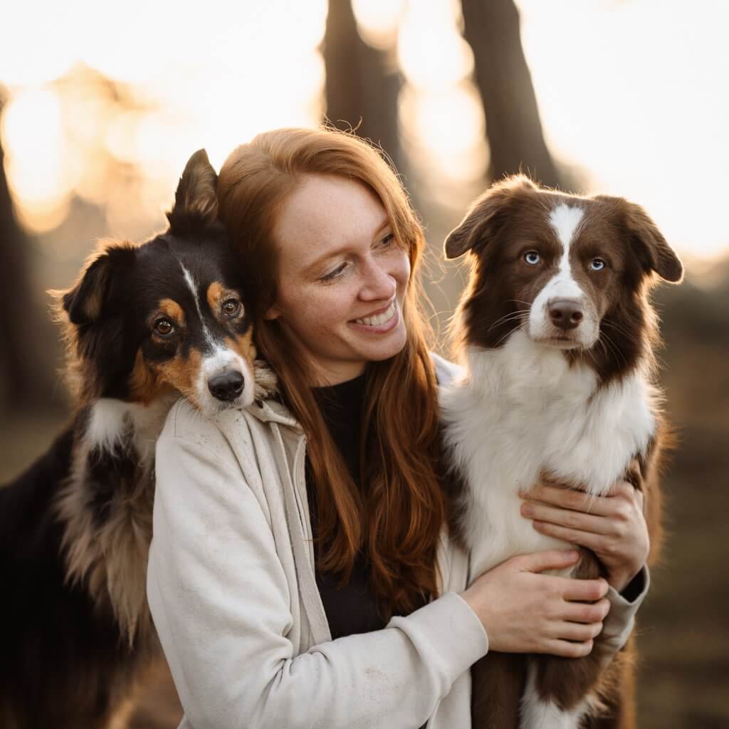 Hunde Blog