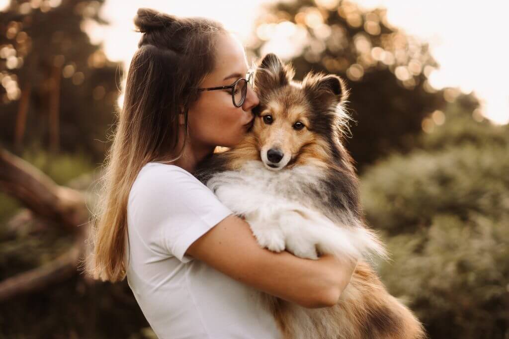 Hundefotografie Köln, Hundefotoshooting Köln