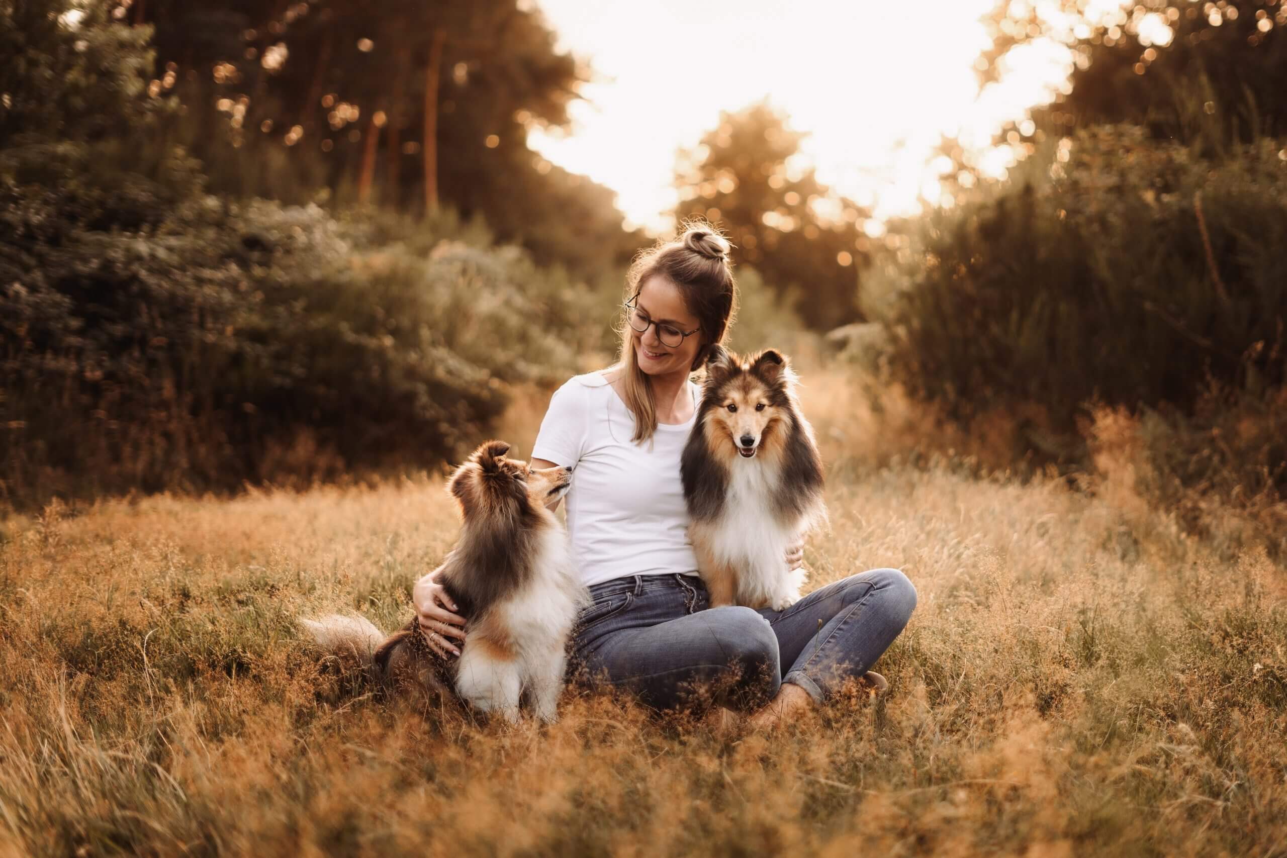 Hunde Blog