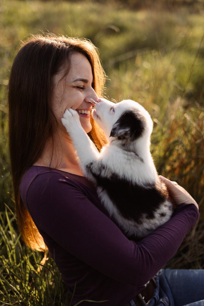 Hundefotoshooting