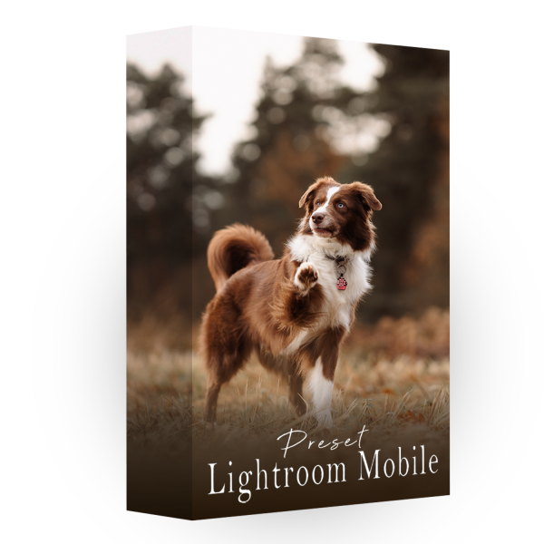 Lightroom Mobile Preset