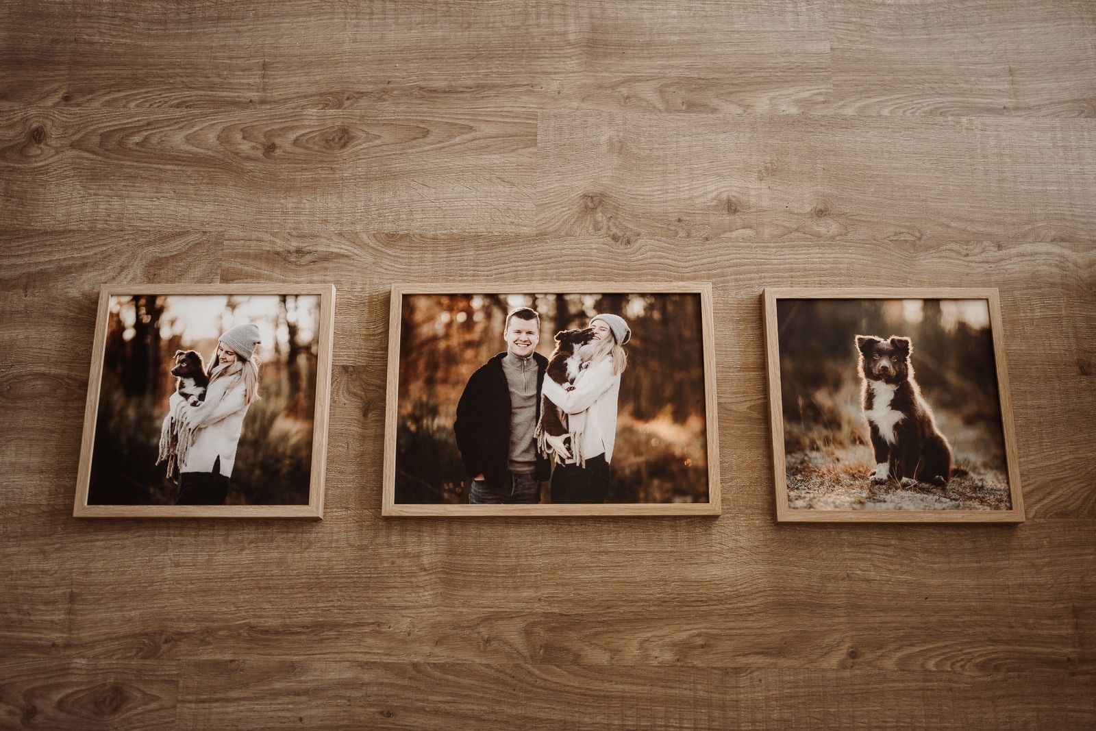 hundefotografie_fotoprodukte_wandbild (11)