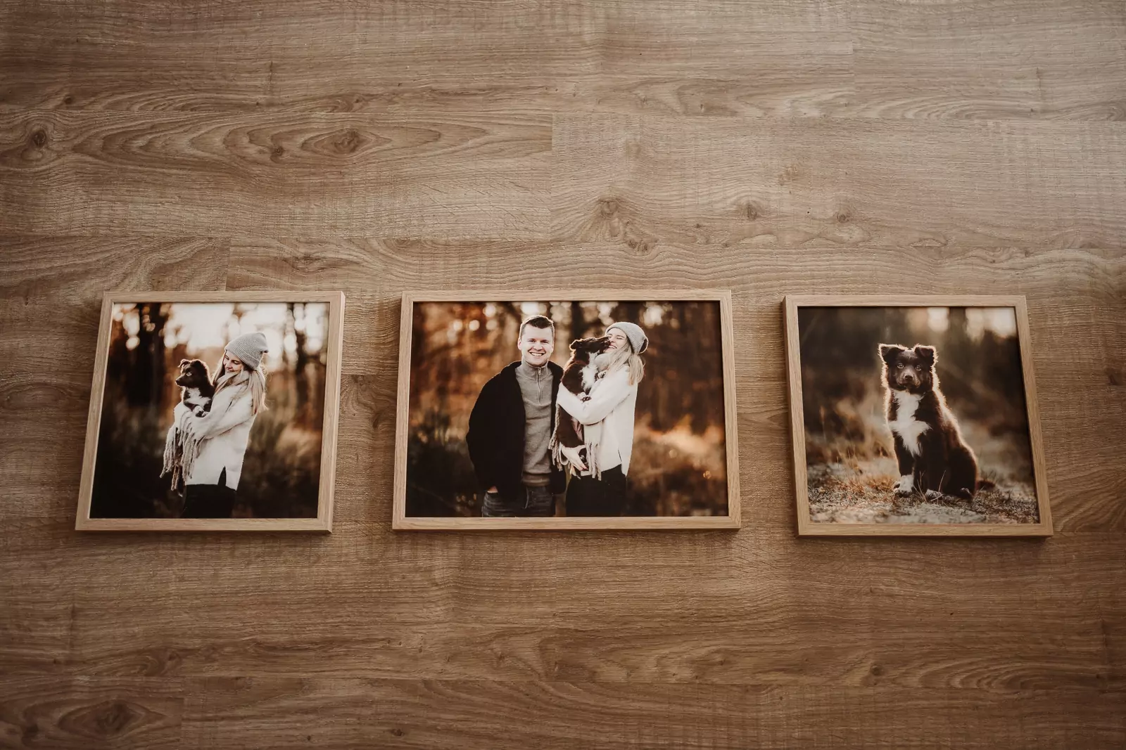 hundefotografie_fotoprodukte_wandbild (11)