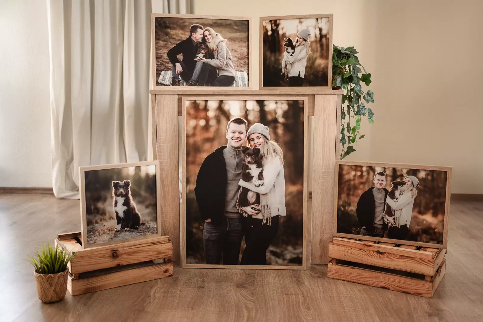 hundefotografie_fotoprodukte_wandbild (23)