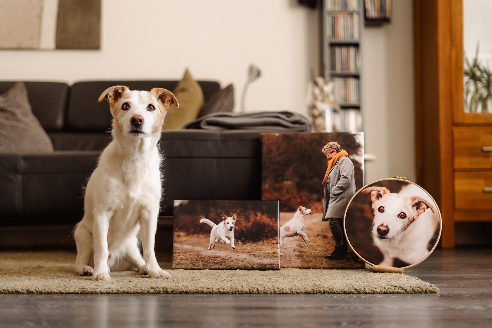 hundefotografie_fotoprodukte_wandbild (24)
