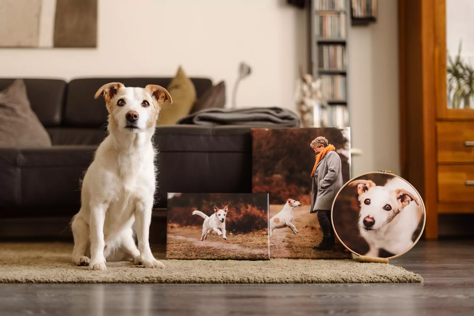 hundefotografie_fotoprodukte_wandbild (24)