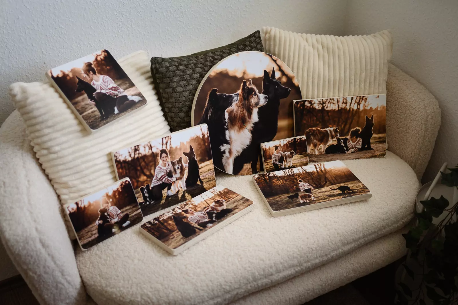 hundefotoshooting_fotoprodukte_prints-13