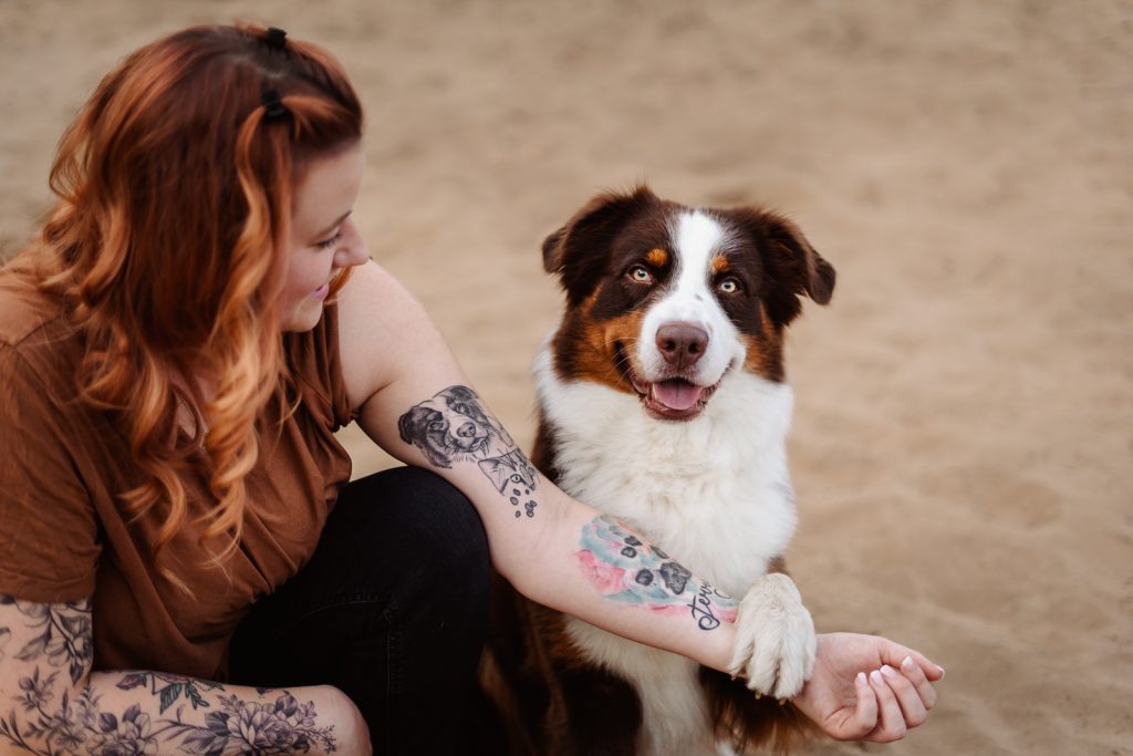 Hüftdysplasie beim Hund