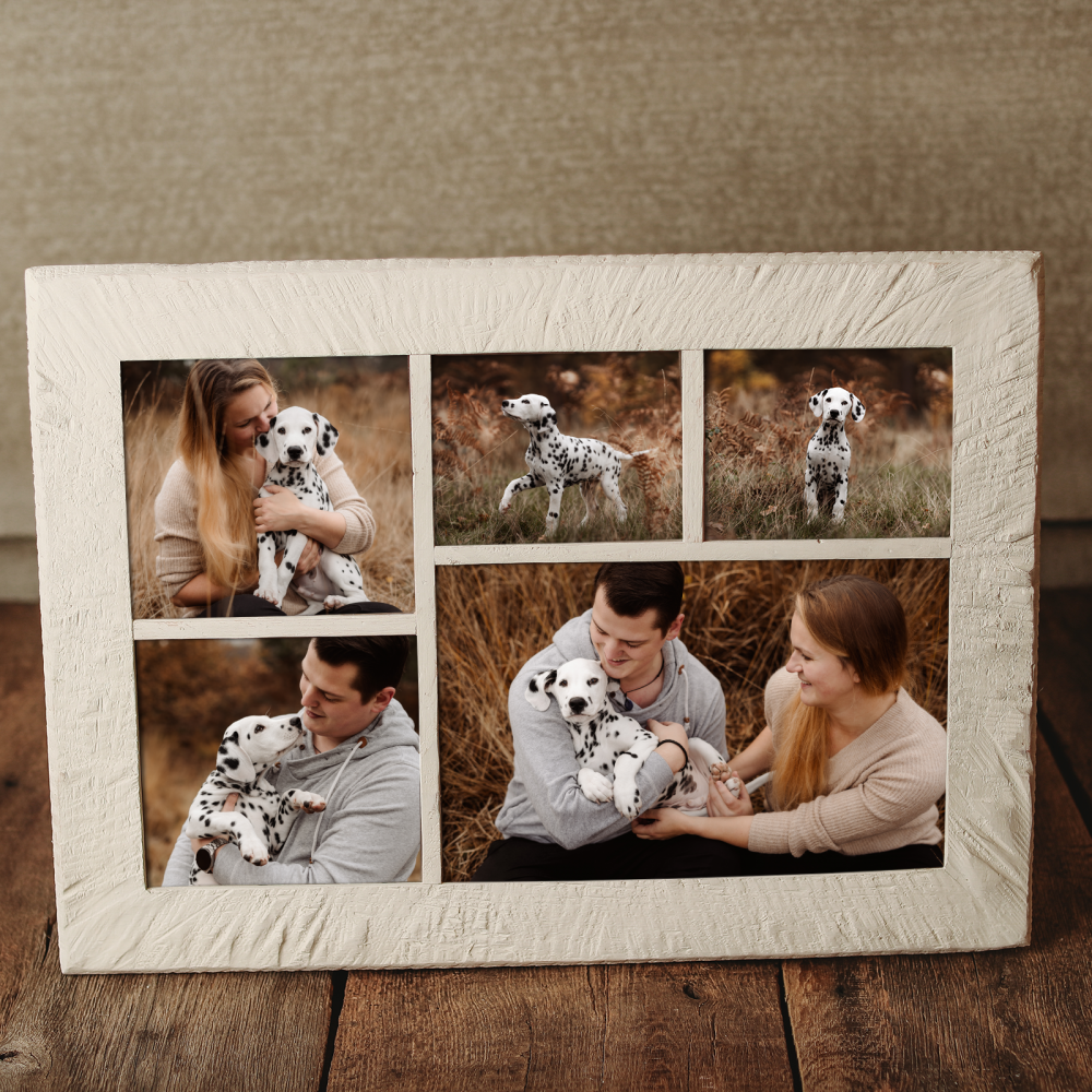 hundefotografie_fotoprodukte_wandbild (1)