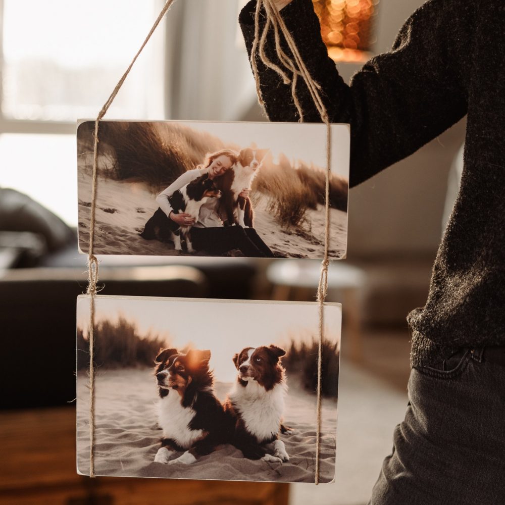 hundefotografie_fotoprodukte_wandbild (1)