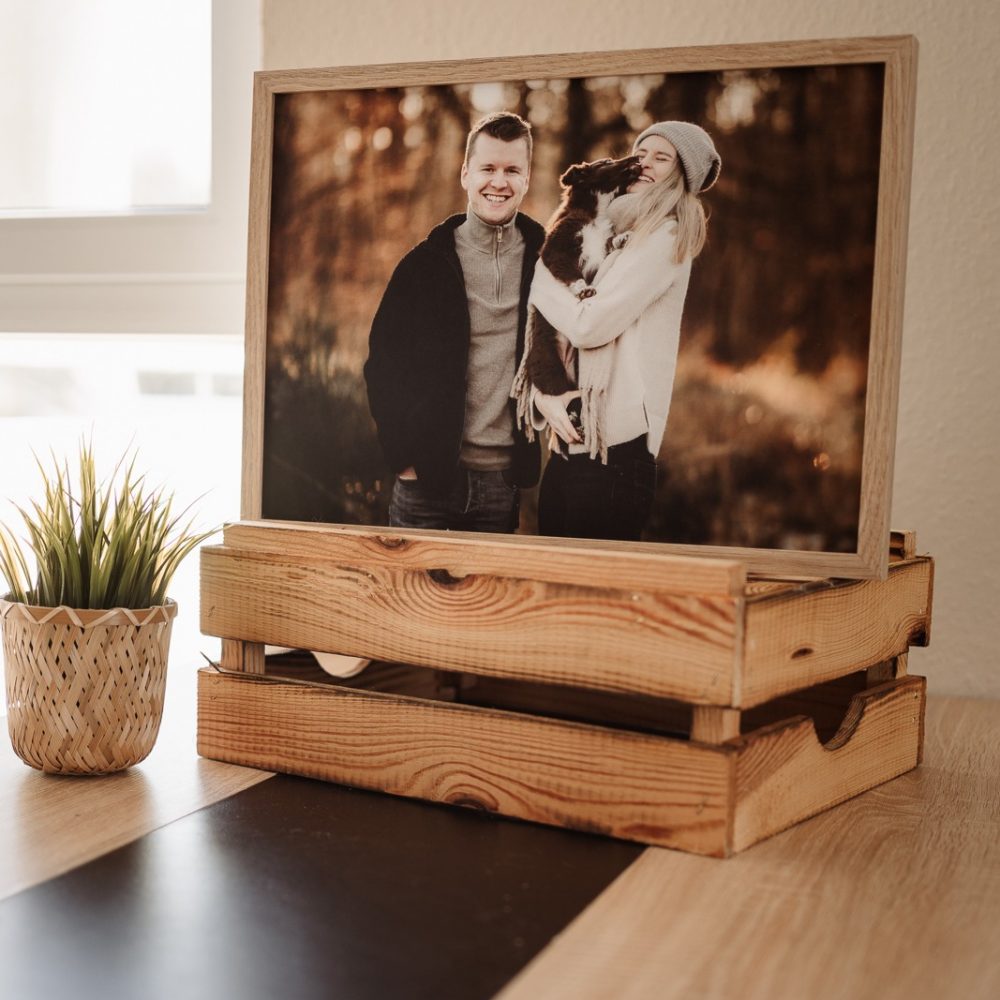 hundefotografie_fotoprodukte_wandbild (19)