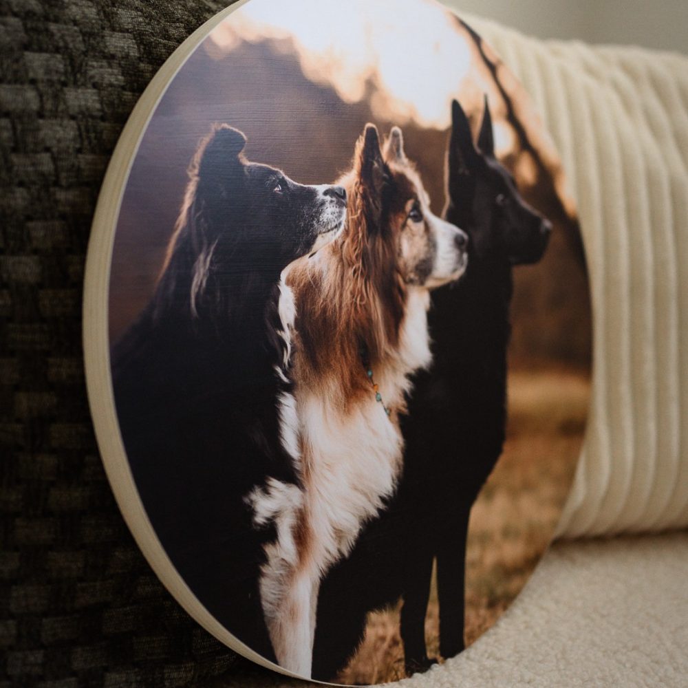 hundefotoshooting_fotoprodukte_prints-15