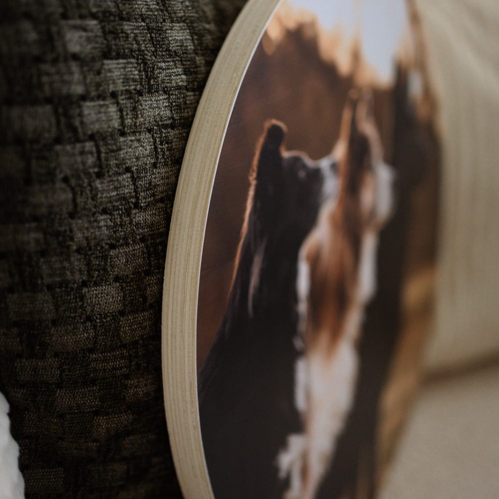 hundefotoshooting_fotoprodukte_prints-16