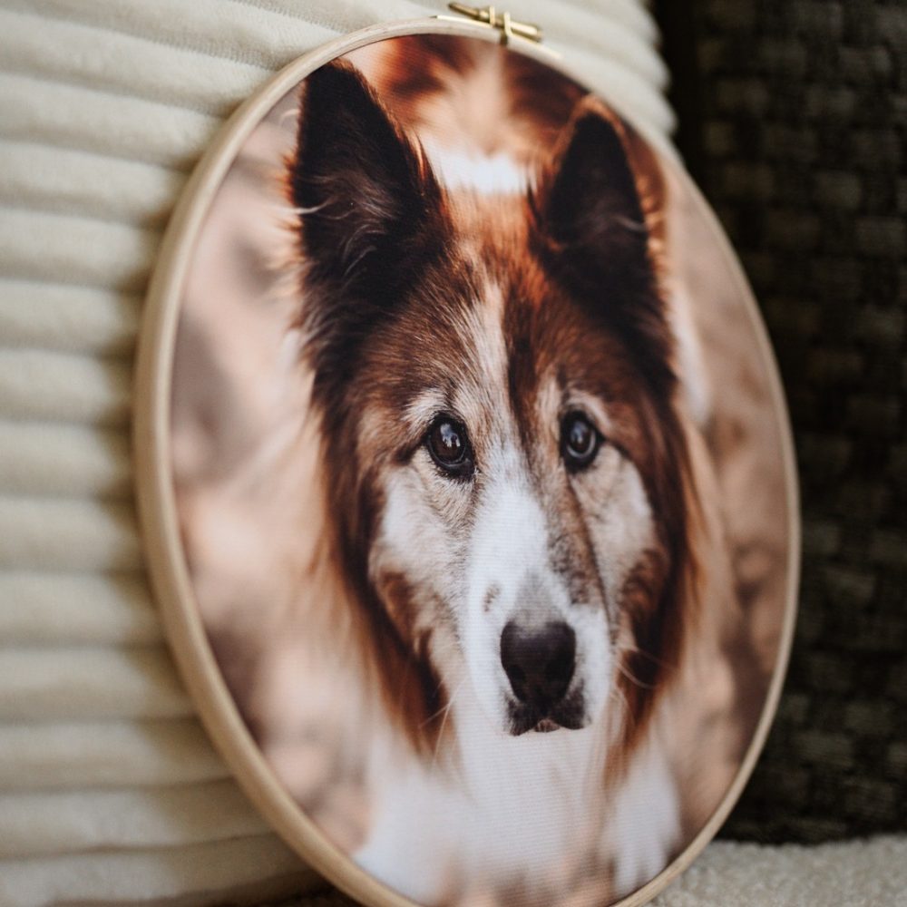 hundefotoshooting_fotoprodukte_prints-9