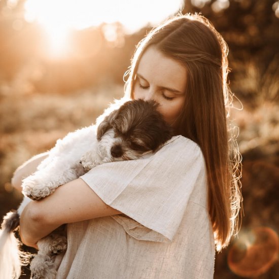 Familienfotos mit Hund