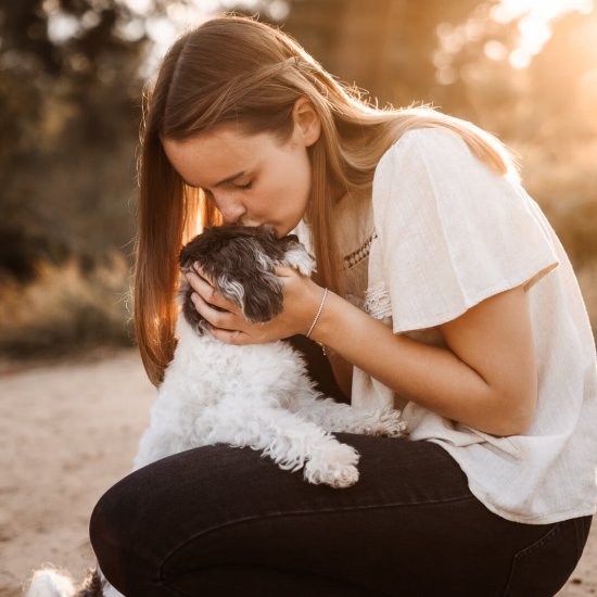 Hundefotografie Köln, Hundefotoshooting Gutschein