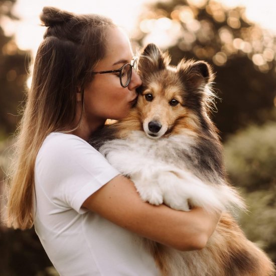 Hundefotografie Köln, Hundefotoshooting Köln